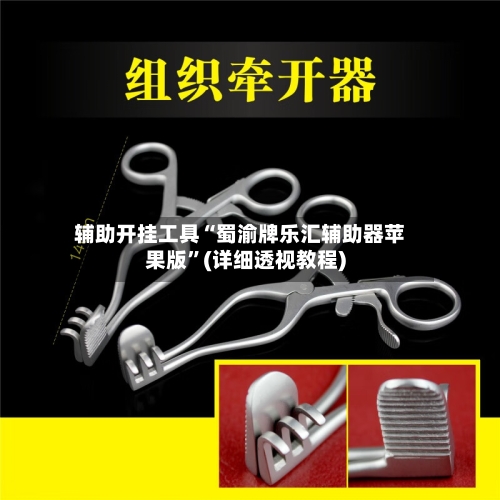 辅助开挂工具“蜀渝牌乐汇辅助器苹果版”(详细透视教程)-第3张图片