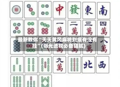 最新教你“天天黄冈麻将到底有没有挂”(曝光透视必备猫腻)