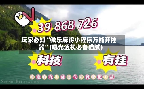 玩家必知“微乐麻将小程序万能开挂器”(曝光透视必备猫腻)-第2张图片
