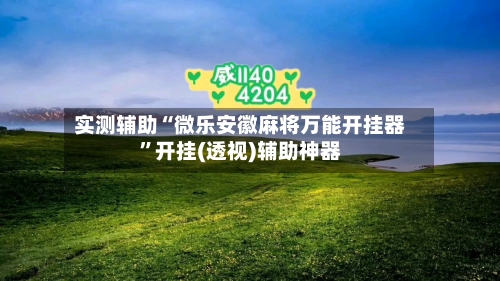 实测辅助“微乐安徽麻将万能开挂器”开挂(透视)辅助神器-第1张图片