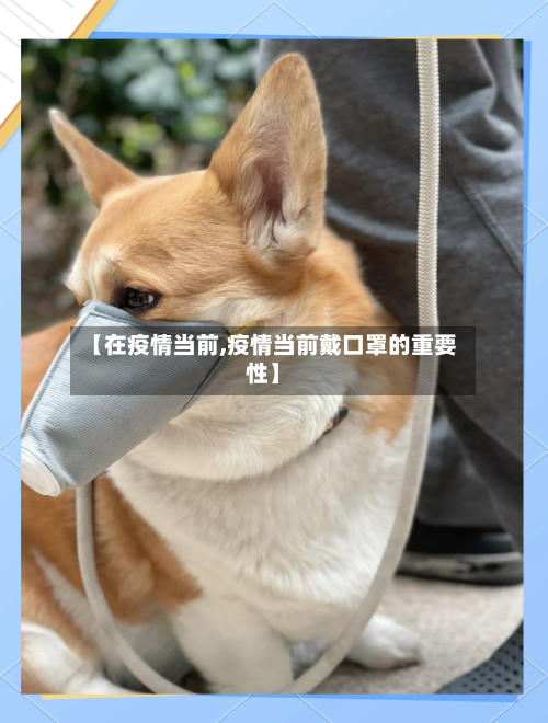 【在疫情当前,疫情当前戴口罩的重要性】-第1张图片
