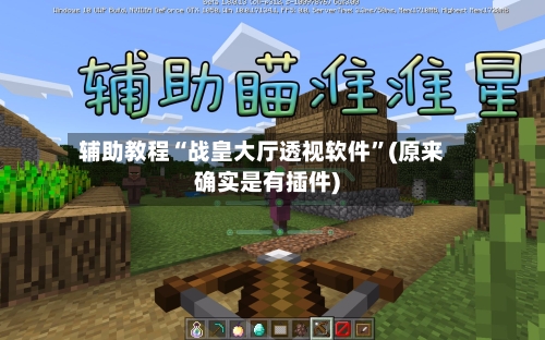 辅助教程“战皇大厅透视软件	”(原来确实是有插件)-第1张图片
