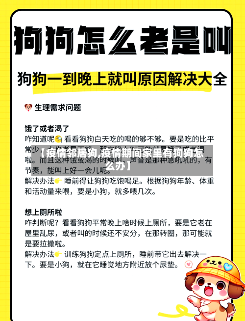 【疫情邻居狗,疫情期间家里有狗狗怎么办】-第1张图片