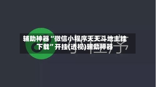 辅助神器“微信小程序天天斗地主挂下载	”开挂(透视)辅助神器-第2张图片