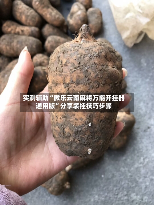 实测辅助“微乐云南麻将万能开挂器通用版	”分享装挂技巧步骤-第1张图片