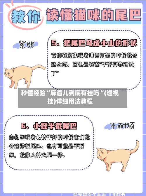 秒懂经验“麻溜儿到底有挂吗“(透视挂)详细用法教程-第1张图片