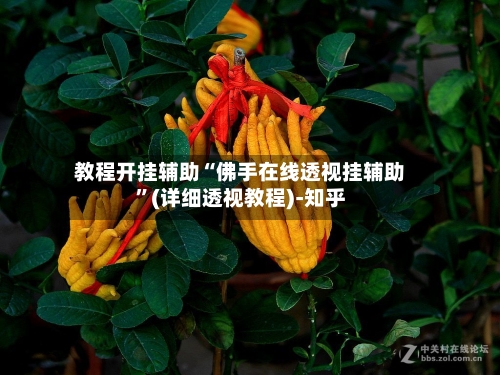 教程开挂辅助“佛手在线透视挂辅助”(详细透视教程)-知乎-第1张图片