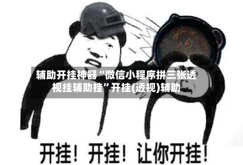 辅助开挂神器“微信小程序拼三张透视挂辅助挂”开挂(透视)辅助-第1张图片