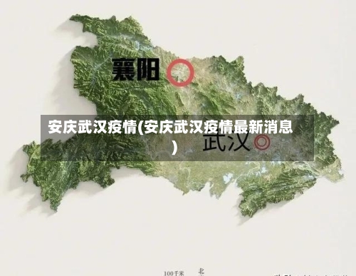 安庆武汉疫情(安庆武汉疫情最新消息)-第1张图片