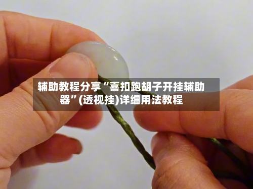 辅助教程分享“喜扣跑胡子开挂辅助器”(透视挂)详细用法教程-第1张图片