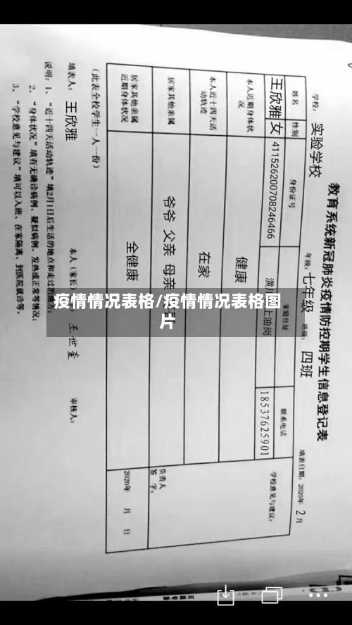 疫情情况表格/疫情情况表格图片-第2张图片