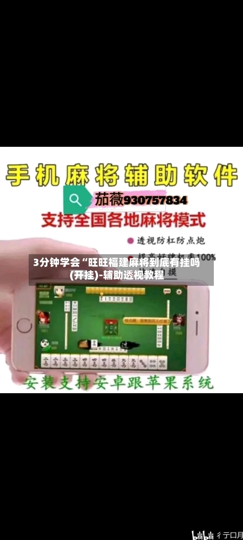 3分钟学会“旺旺福建麻将到底有挂吗(开挂)-辅助透视教程-第3张图片