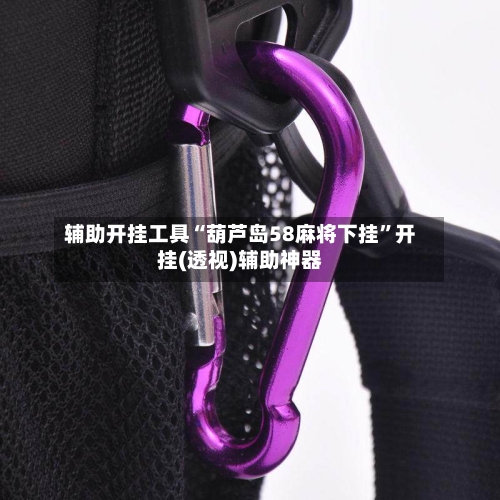 辅助开挂工具“葫芦岛58麻将下挂”开挂(透视)辅助神器-第2张图片