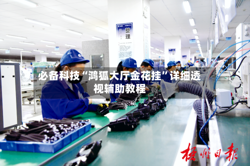 必备科技“鸿狐大厅金花挂”详细透视辅助教程-第1张图片