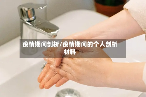 疫情期间剖析/疫情期间的个人剖析材料-第1张图片