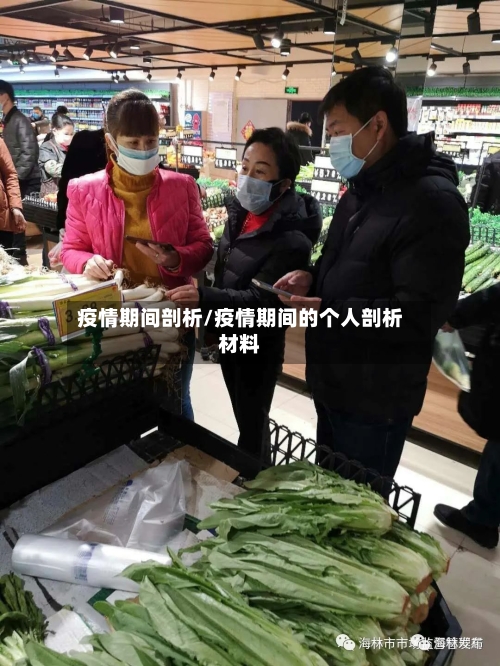 疫情期间剖析/疫情期间的个人剖析材料-第2张图片