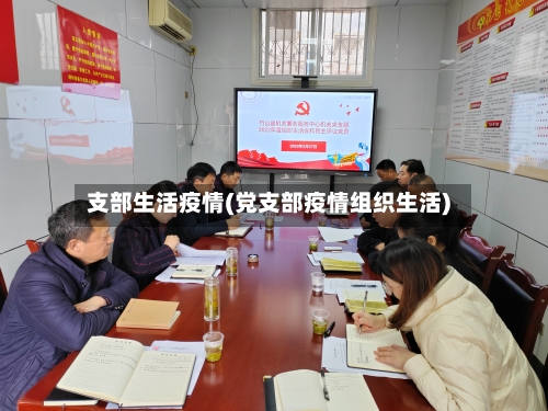 支部生活疫情(党支部疫情组织生活)-第3张图片