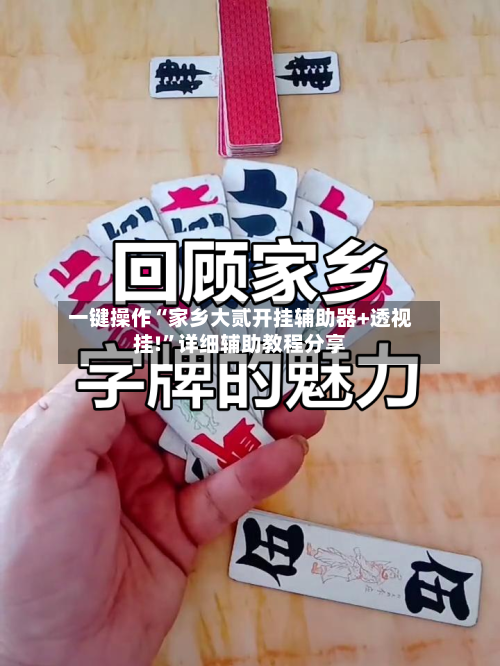 一键操作“家乡大贰开挂辅助器+透视挂!”详细辅助教程分享-第3张图片