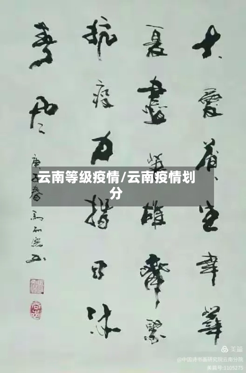 云南等级疫情/云南疫情划分-第2张图片