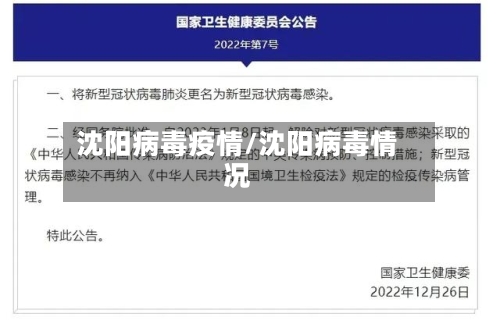 沈阳病毒疫情/沈阳病毒情况-第2张图片