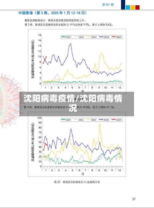 沈阳病毒疫情/沈阳病毒情况-第1张图片