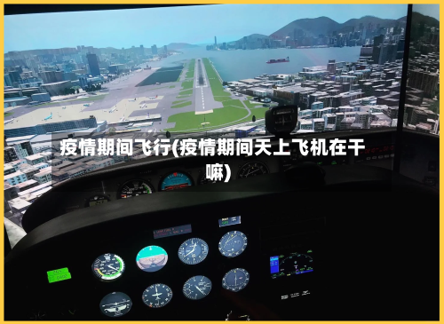 疫情期间飞行(疫情期间天上飞机在干嘛)-第2张图片