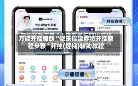 万能开挂辅助“微乐福建麻将开挂教程步骤”开挂(透视)辅助教程-第2张图片