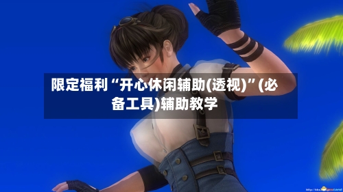 限定福利“开心休闲辅助(透视)”(必备工具)辅助教学-第1张图片