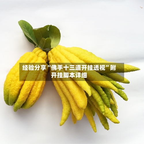 经验分享“佛手十三道开挂透视	”附开挂脚本详细-第2张图片