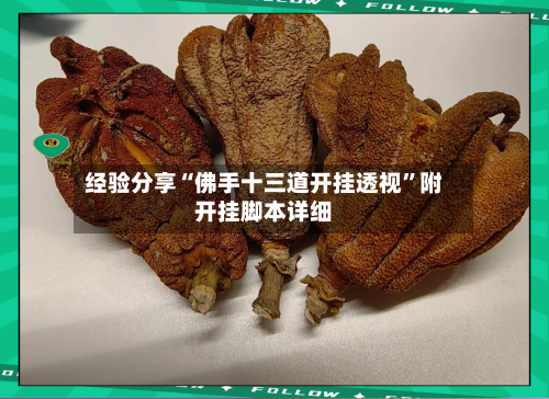 经验分享“佛手十三道开挂透视”附开挂脚本详细-第1张图片