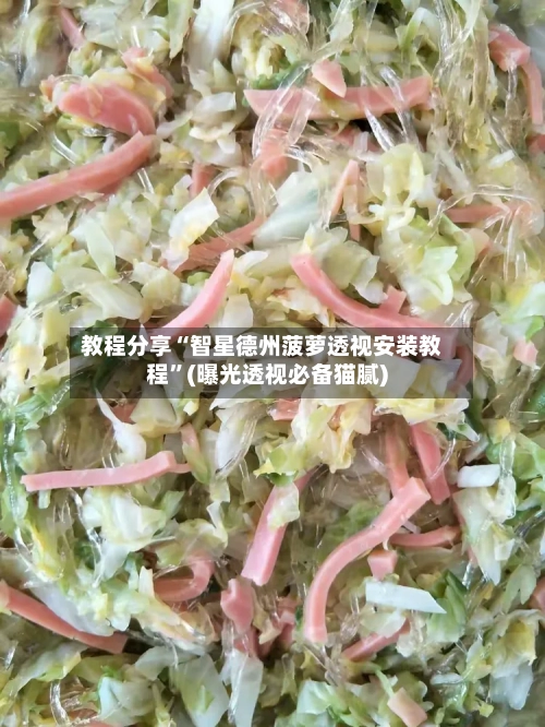 教程分享“智星德州菠萝透视安装教程”(曝光透视必备猫腻)-第2张图片