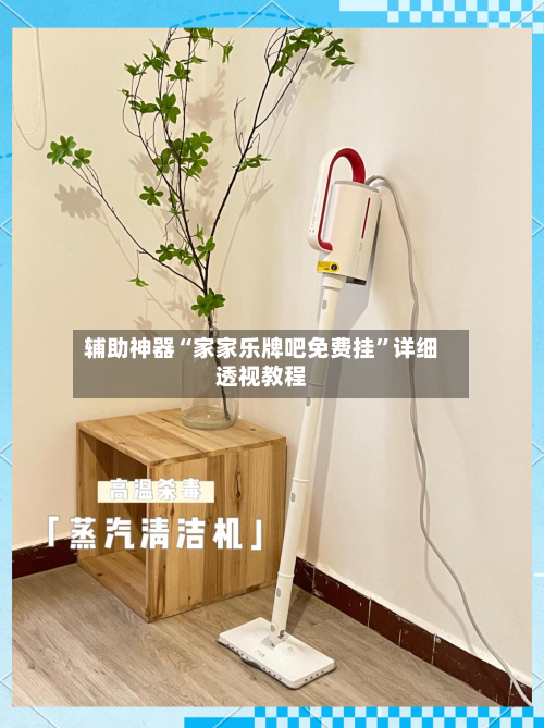 辅助神器“家家乐牌吧免费挂”详细透视教程-第2张图片