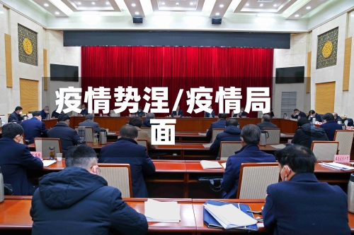 疫情势涅/疫情局面-第3张图片