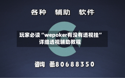 玩家必读“wepoker有没有透视挂”详细透视辅助教程-第2张图片