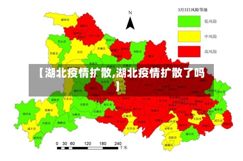 【湖北疫情扩散,湖北疫情扩散了吗】-第2张图片