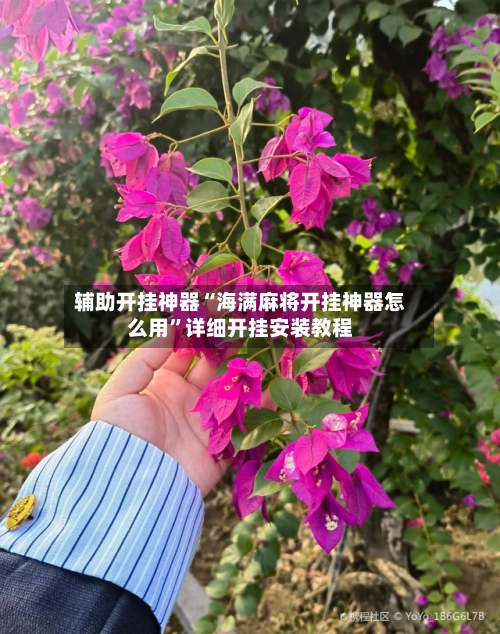 辅助开挂神器“海满麻将开挂神器怎么用	”详细开挂安装教程-第1张图片