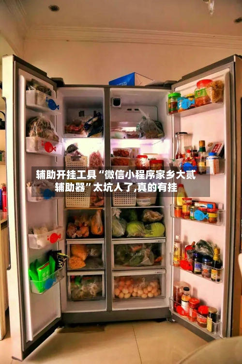 辅助开挂工具“微信小程序家乡大贰辅助器”太坑人了,真的有挂-第1张图片