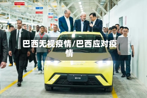 巴西无视疫情/巴西应对疫情-第3张图片