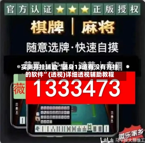 实测开挂辅助“随身13道有没有开挂的软件	”(透视)详细透视辅助教程-第2张图片