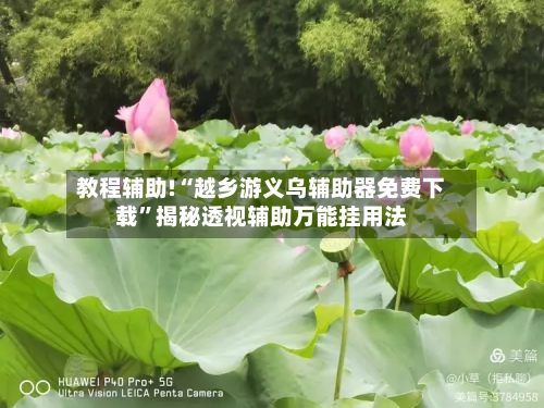 教程辅助!“越乡游义乌辅助器免费下载”揭秘透视辅助万能挂用法-第1张图片