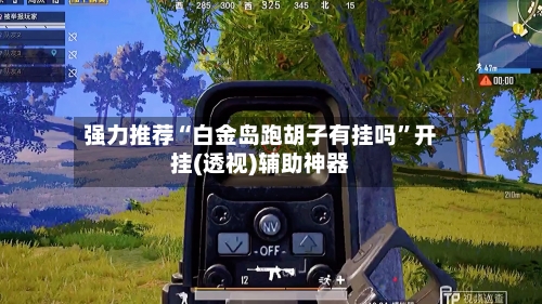 强力推荐“白金岛跑胡子有挂吗”开挂(透视)辅助神器-第1张图片
