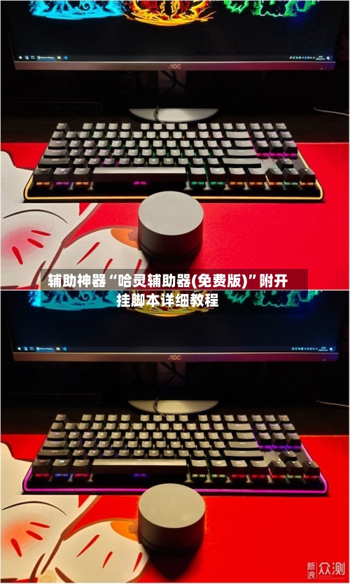 辅助神器“哈灵辅助器(免费版)	”附开挂脚本详细教程-第1张图片