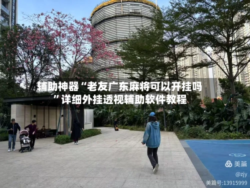 辅助神器“老友广东麻将可以开挂吗”详细外挂透视辅助软件教程-第2张图片