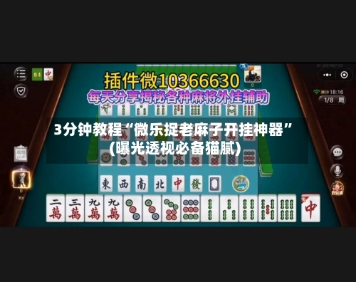 3分钟教程“微乐捉老麻子开挂神器”(曝光透视必备猫腻)-第1张图片