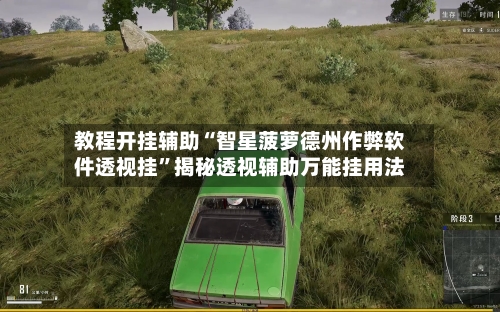 教程开挂辅助“智星菠萝德州作弊软件透视挂”揭秘透视辅助万能挂用法-第2张图片