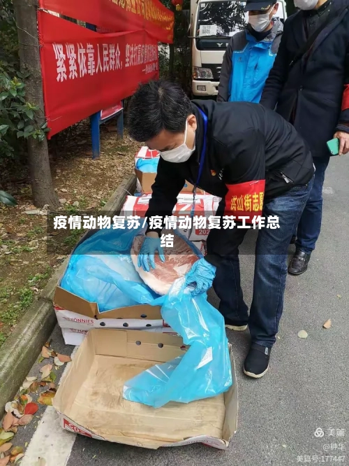 疫情动物复苏/疫情动物复苏工作总结-第1张图片