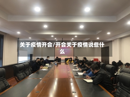 关于疫情开会/开会关于疫情说些什么-第3张图片