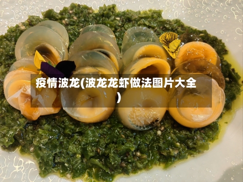 疫情波龙(波龙龙虾做法图片大全)-第2张图片