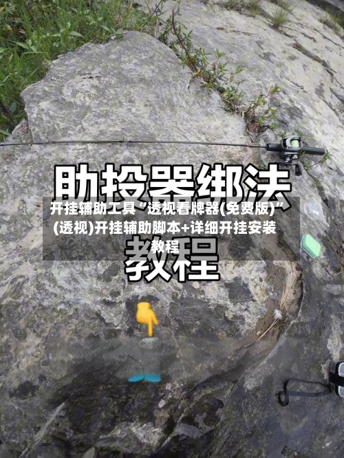 开挂辅助工具“透视看牌器(免费版)	”(透视)开挂辅助脚本+详细开挂安装教程-第1张图片