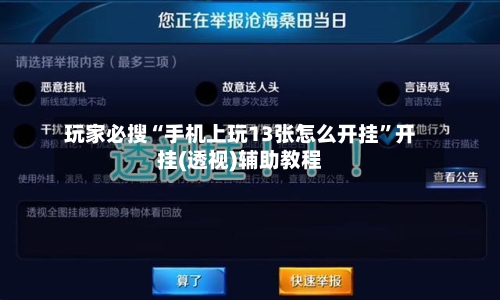 玩家必搜“手机上玩13张怎么开挂	”开挂(透视)辅助教程-第1张图片